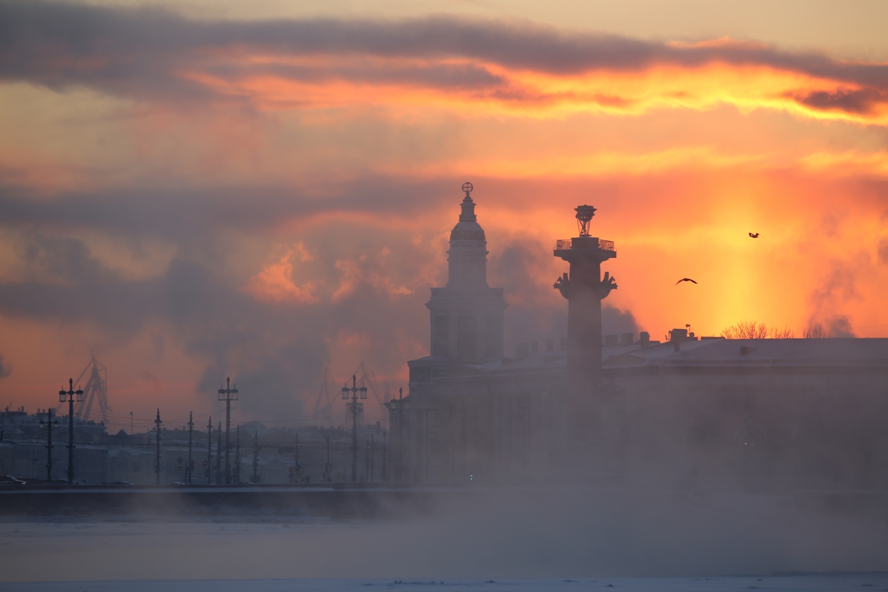 Фото: PhotoXPress.ru