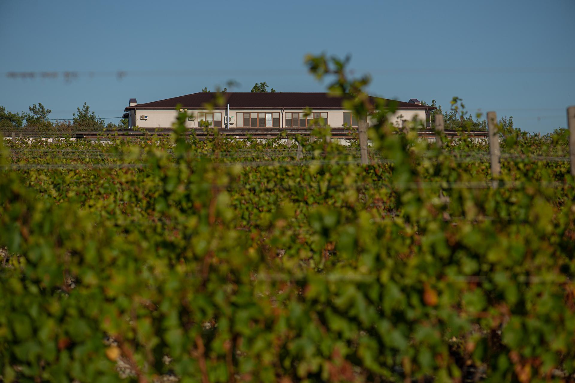 Винодельня &laquo;Усадьба Маркотх&raquo;