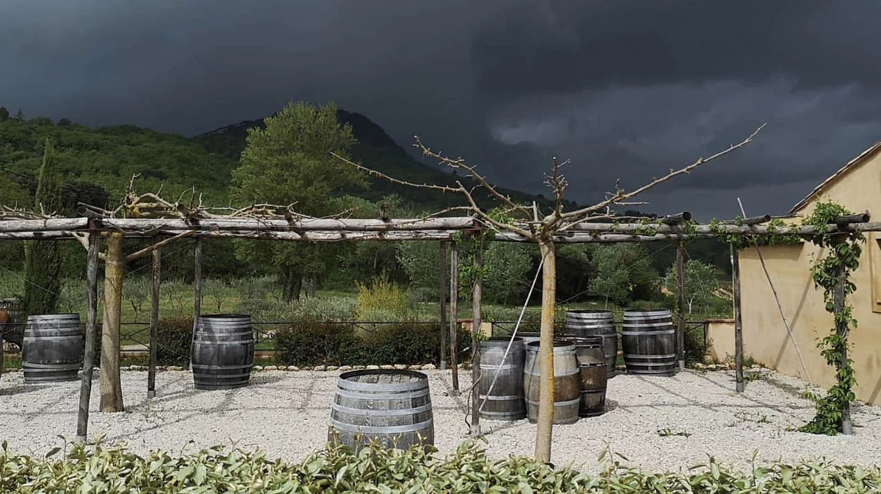 Диджей Боб Синклер подал в суд на винодельню в Провансе из-за Bob Singlar