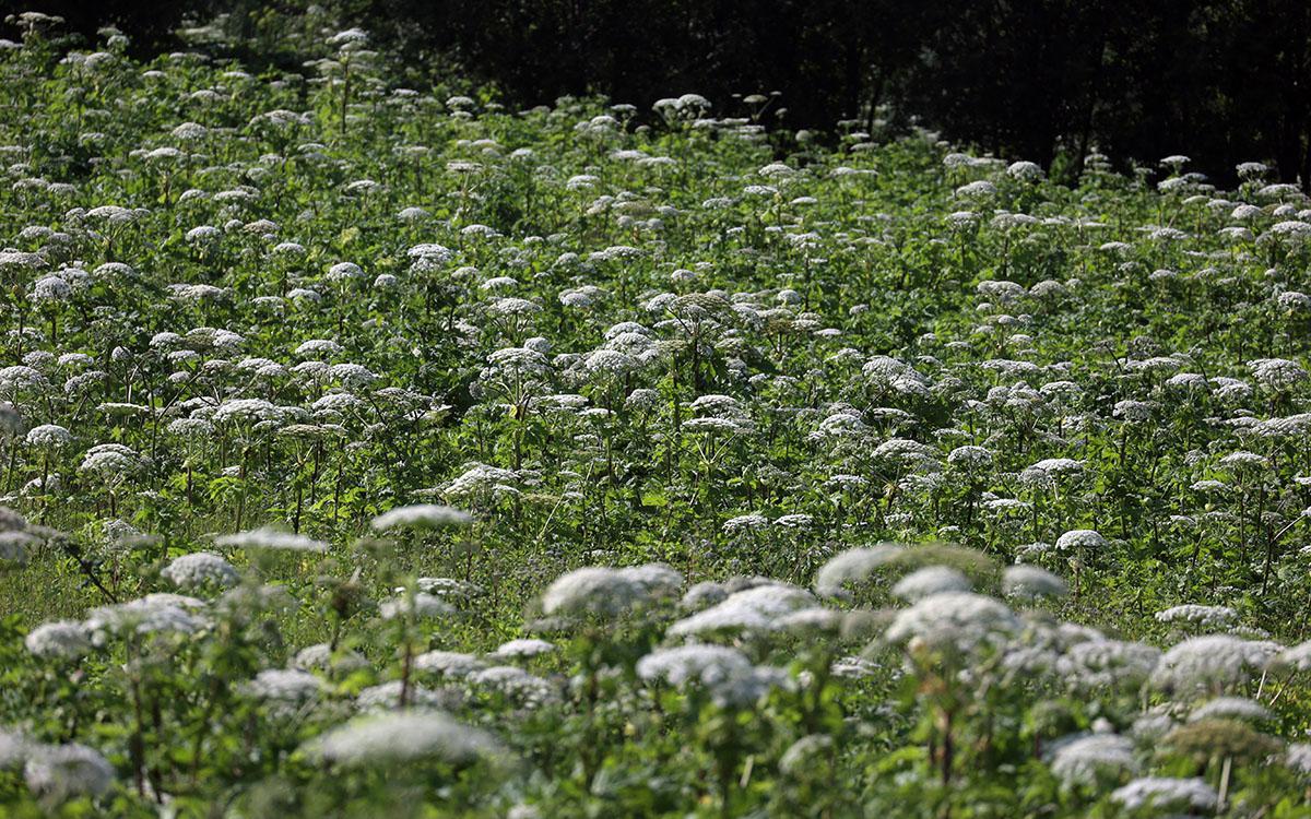 Фото: Павел Львов / РИА Новости