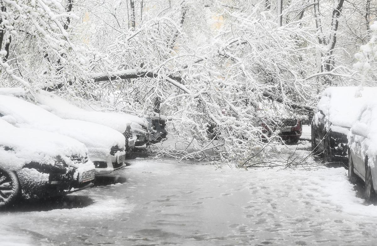 Снегопад в Москве, 27 апреля 2026 года