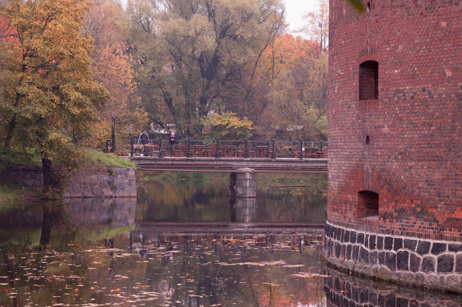 Фото: Валентина Сергеева