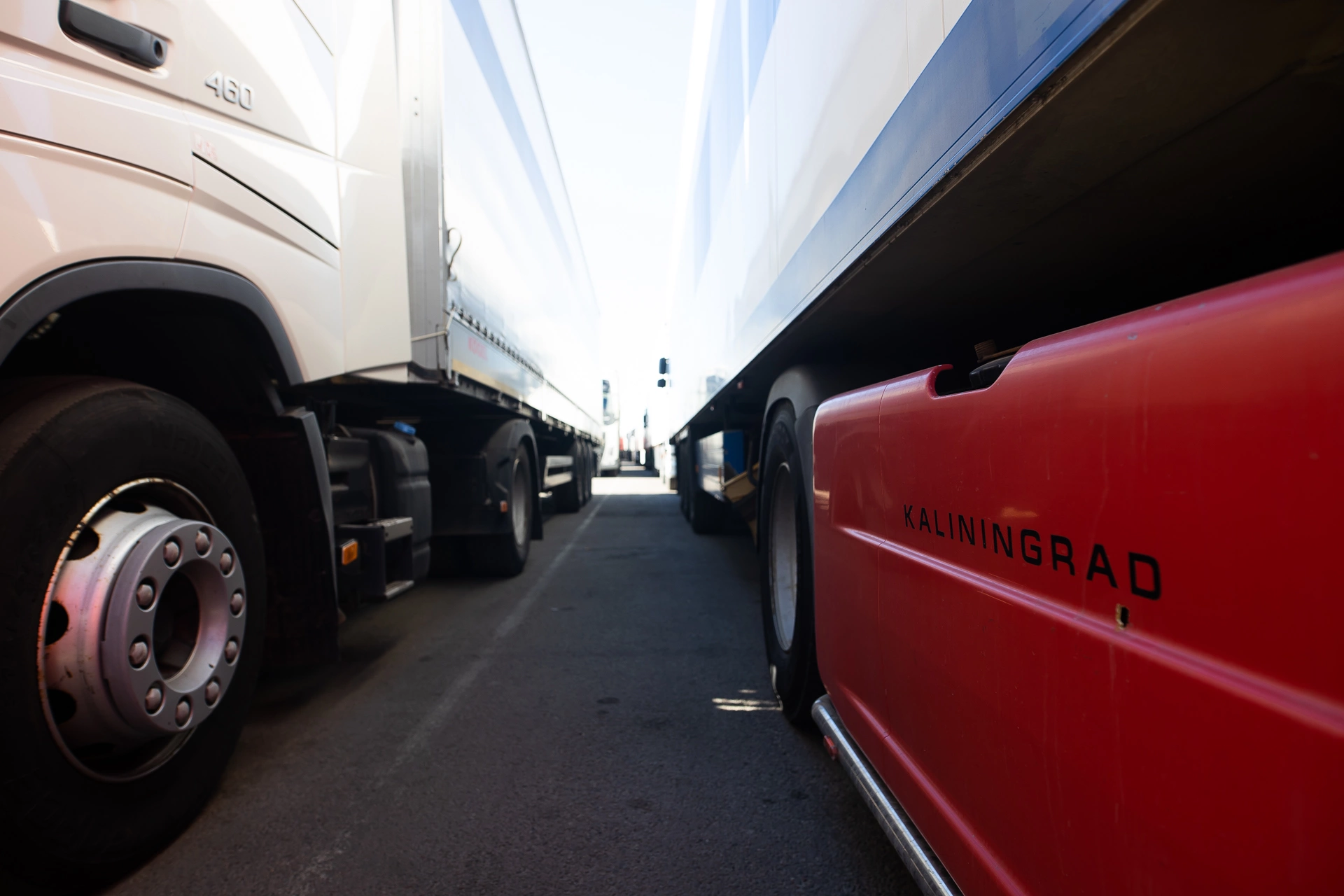 Александр Подгорчук