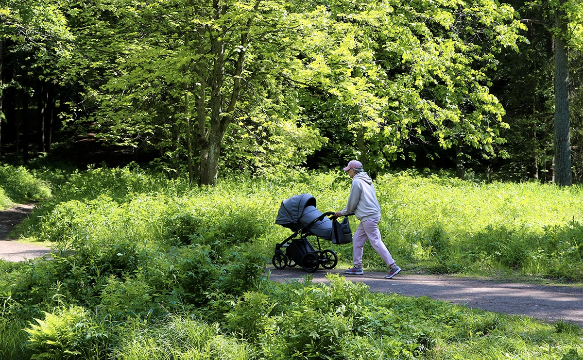 Максим Константинов / Global Look Press