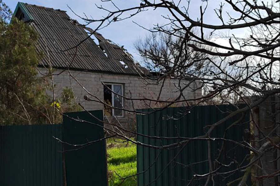 Фото: SALDO_VGA / Telegram