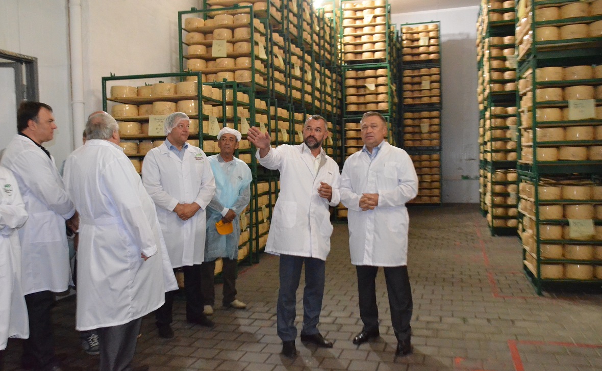 Сыродельный завод «Семикаракорский» увеличил на 30% объемы производства