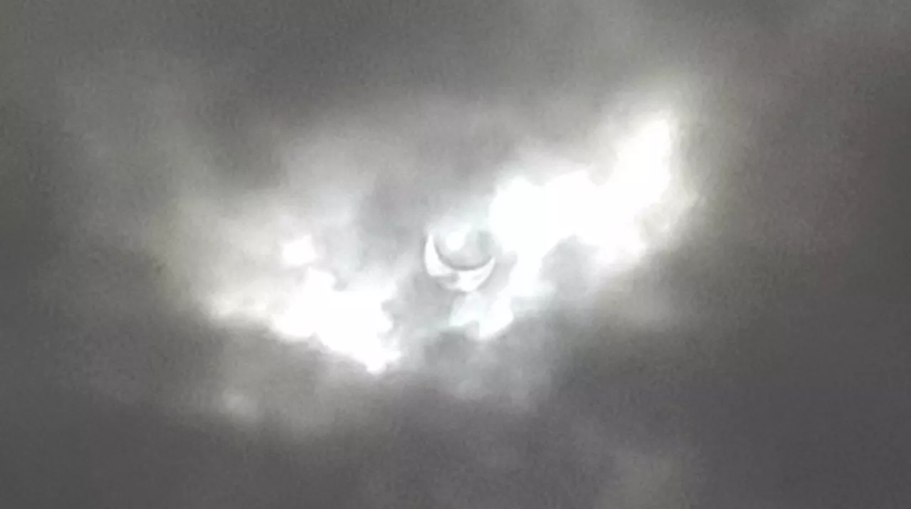 Фото Ольги Молевой