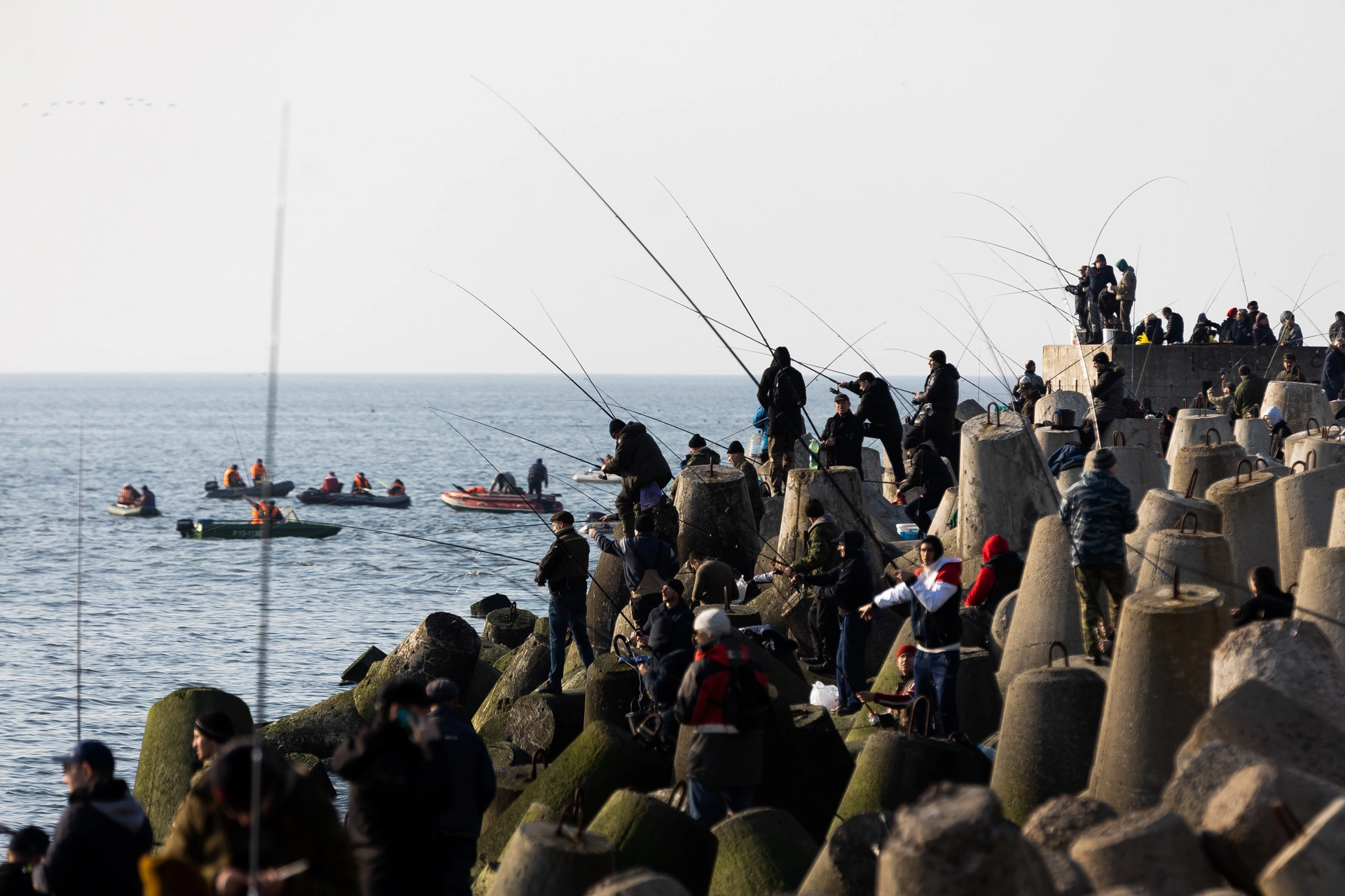 Александр Подгорчук