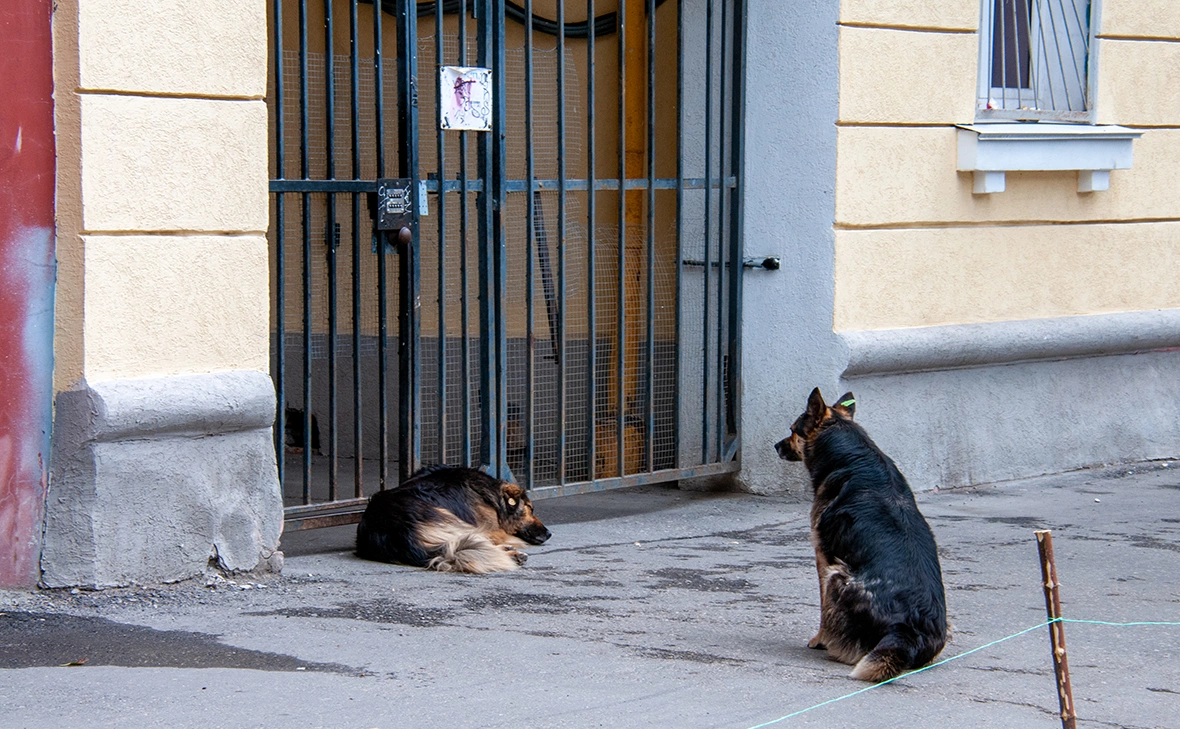 Светлана Возмилова / Global Look Press