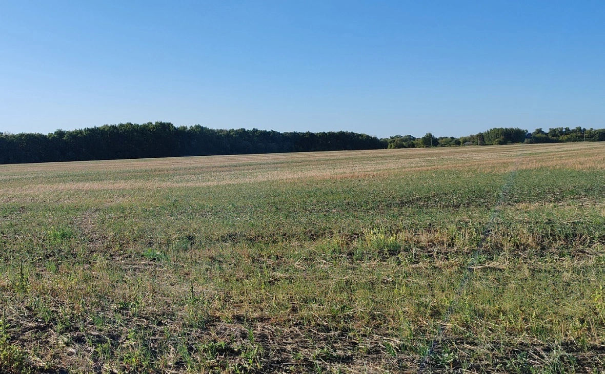 РБК Черноземье