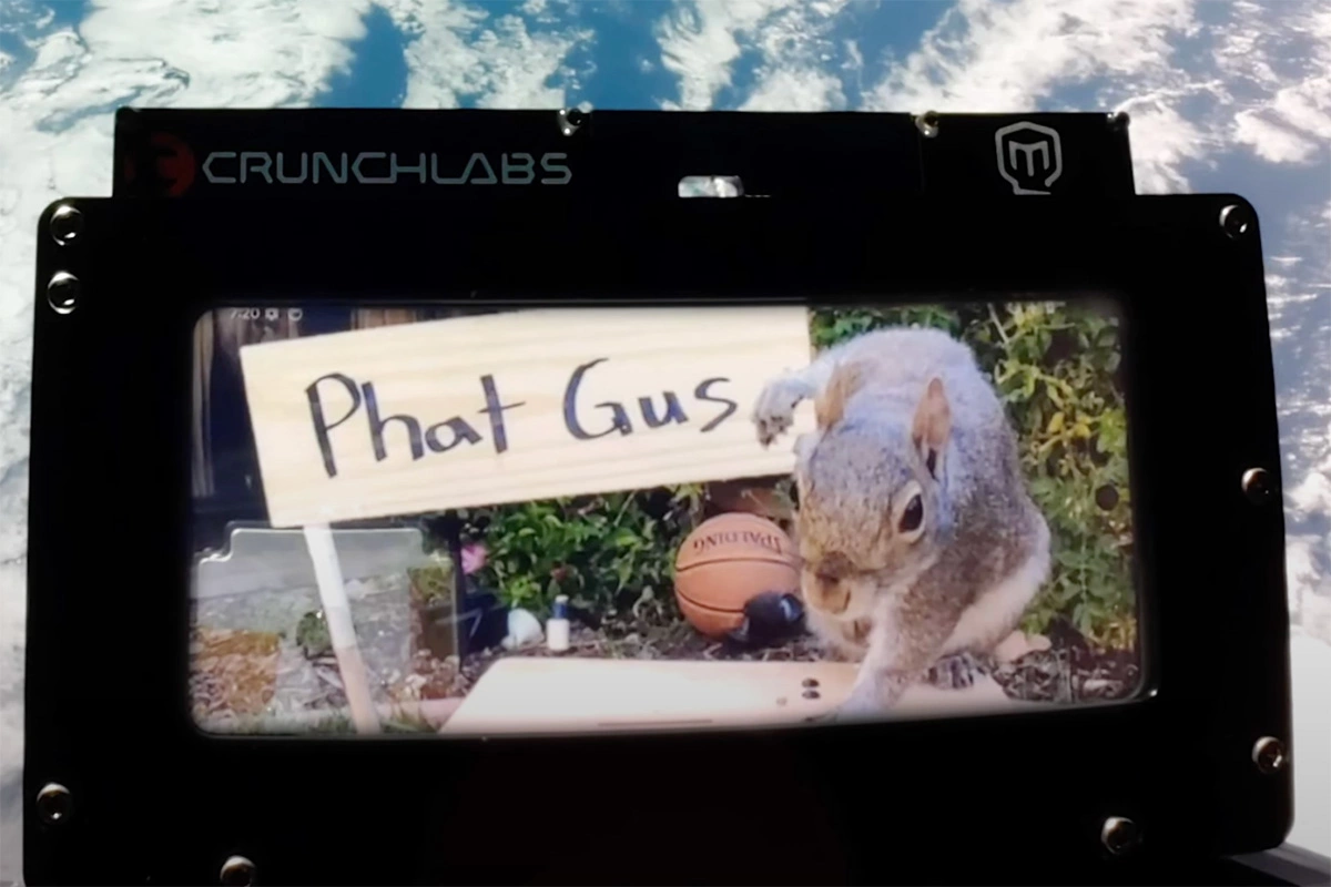 Селфи полученное со спутника Sat Gus