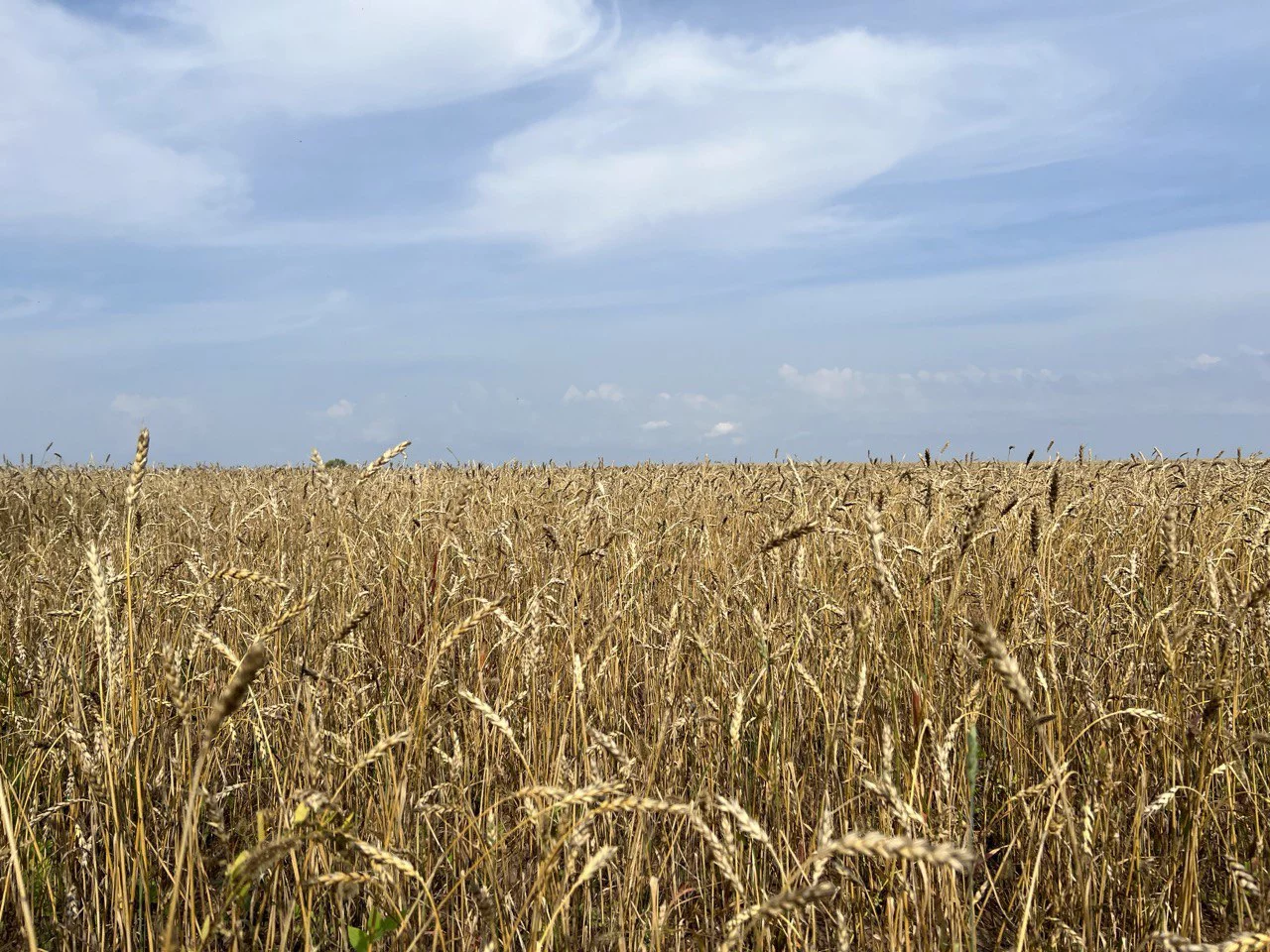 РБК Татарстан