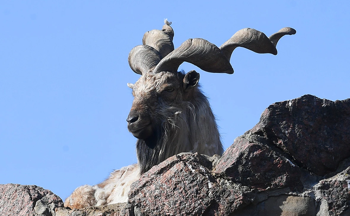 Екатерина Чеснокова / РИА Новости