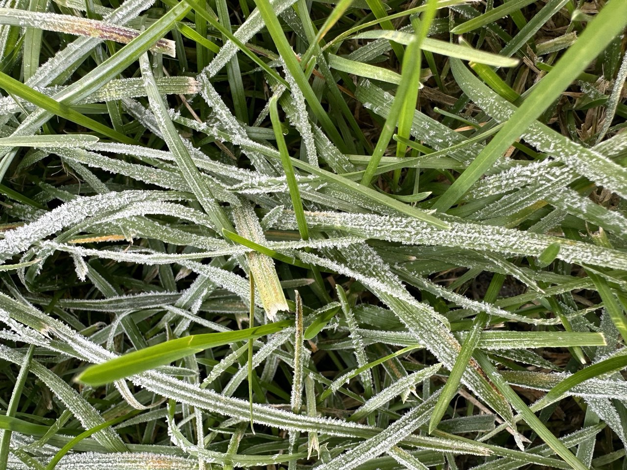 Фото: РБК Татарстан