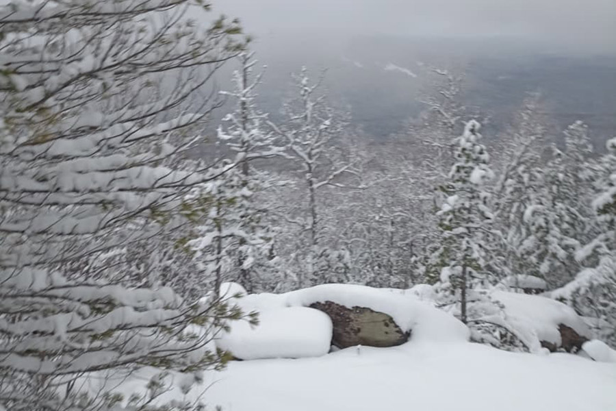 Фото: Алексей Исиченко / РБК