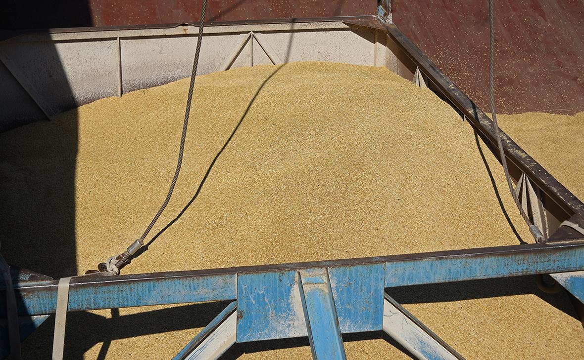 МИД назвал условия приостановки участия России в зерновой сделке