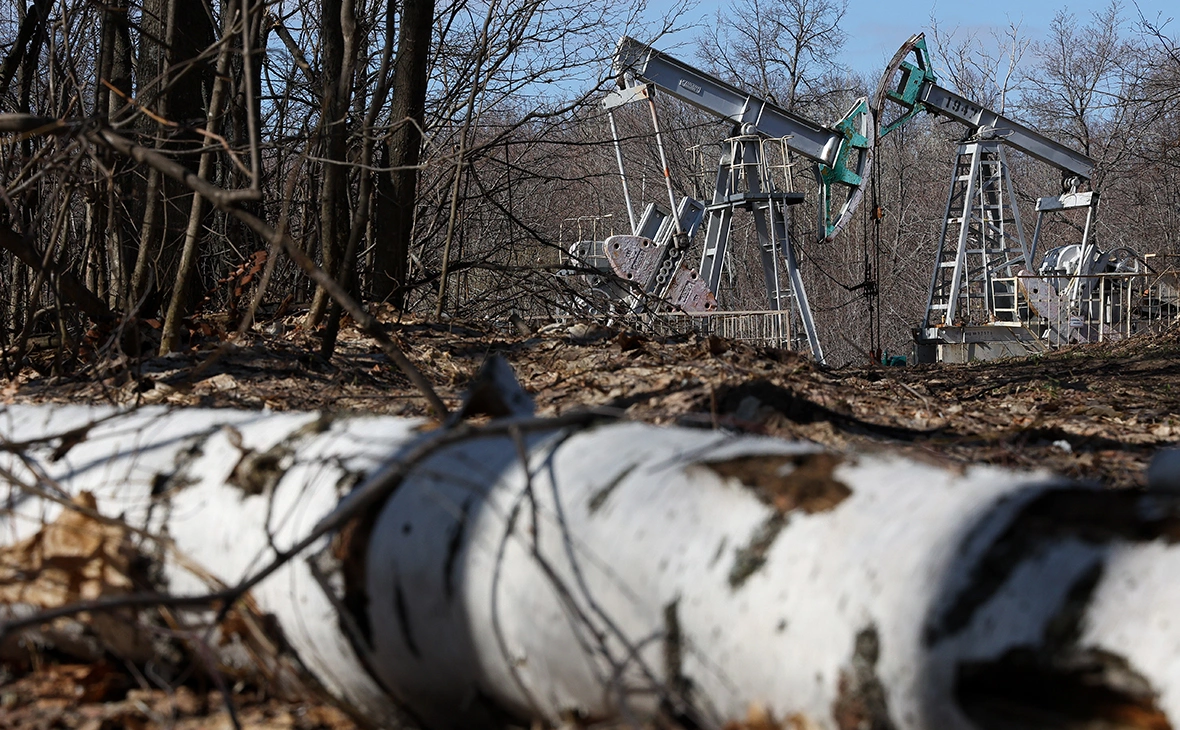 Егор Алеев / ТАСС