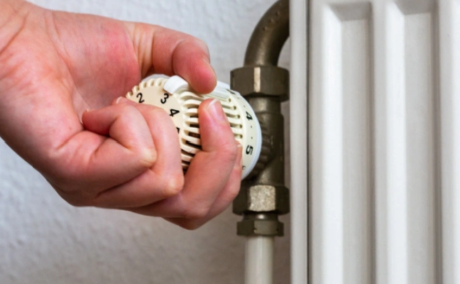 Fernando Gutierrez-Juarez / dpa / Global Look Press