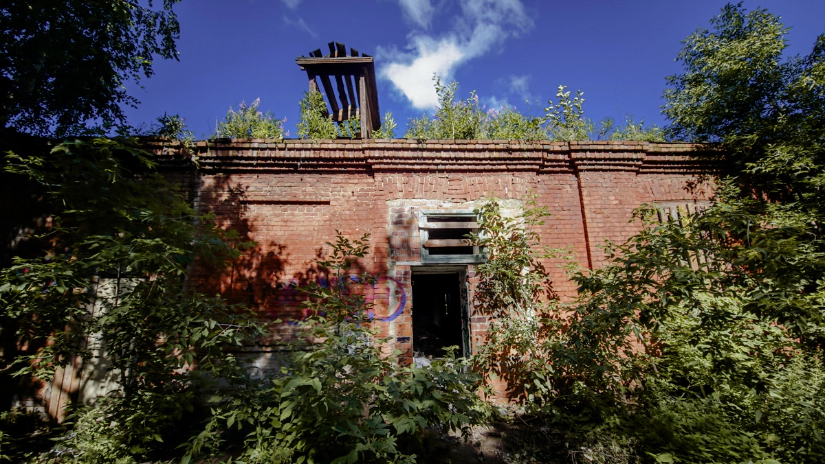 Антон Буценко, 66.RU