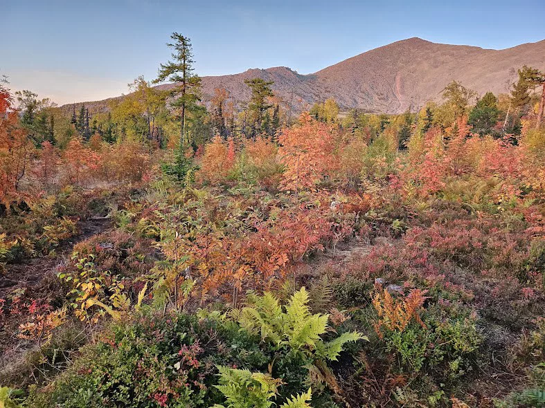 Государственный природный заповедник «Вишерский»