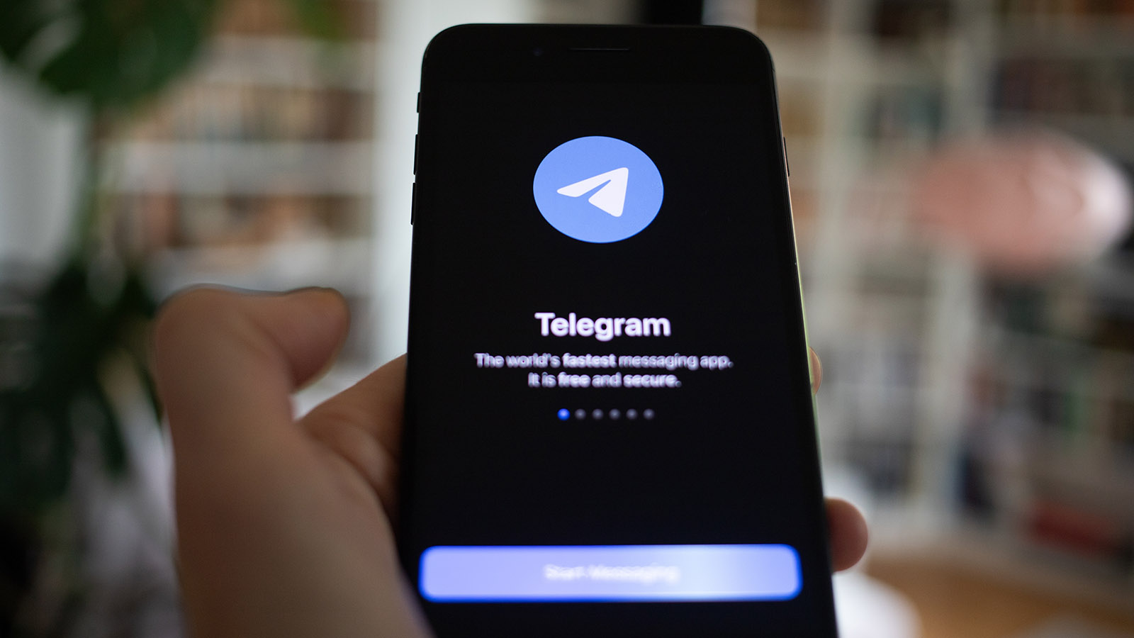 Россиянам напомнили, как распознать аккаунт мошенника в Telegram