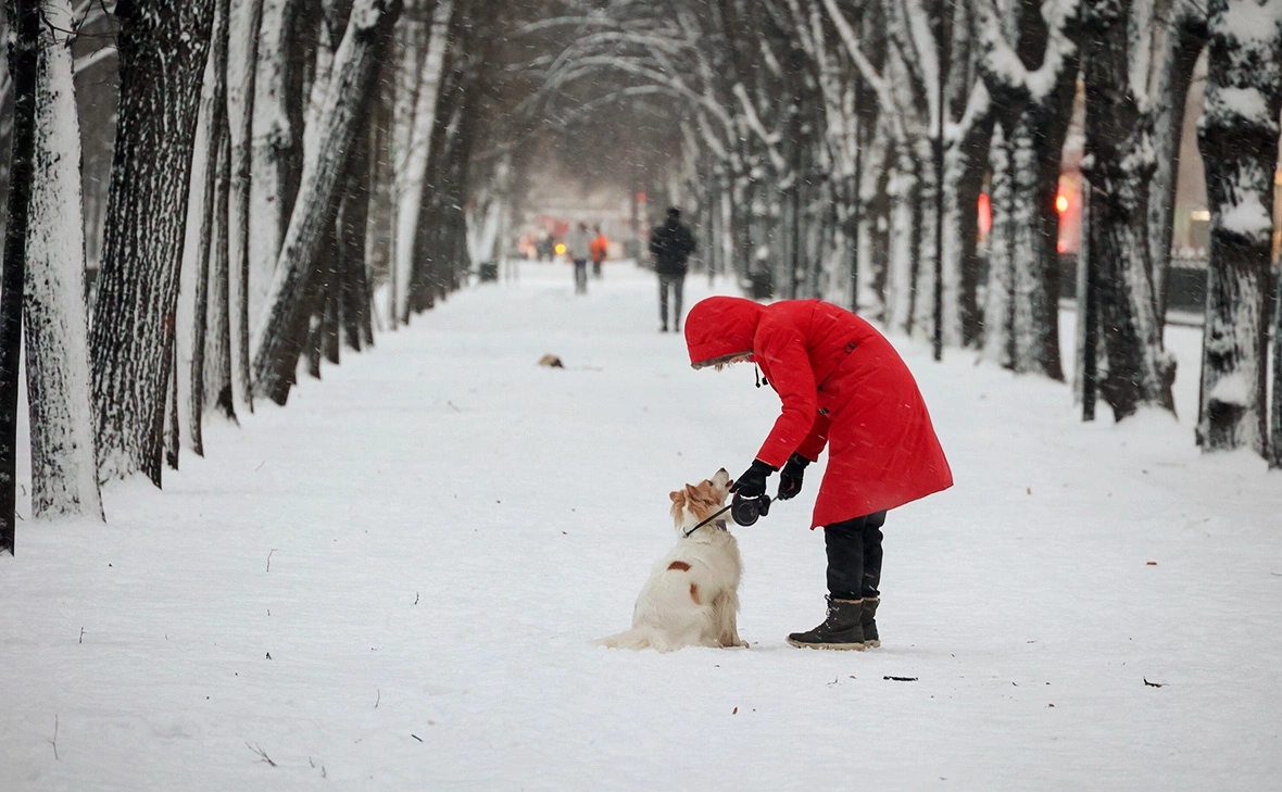 Ярослав Чингаев / АГН «Москва»