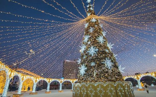 Фото: gov-murman.ru