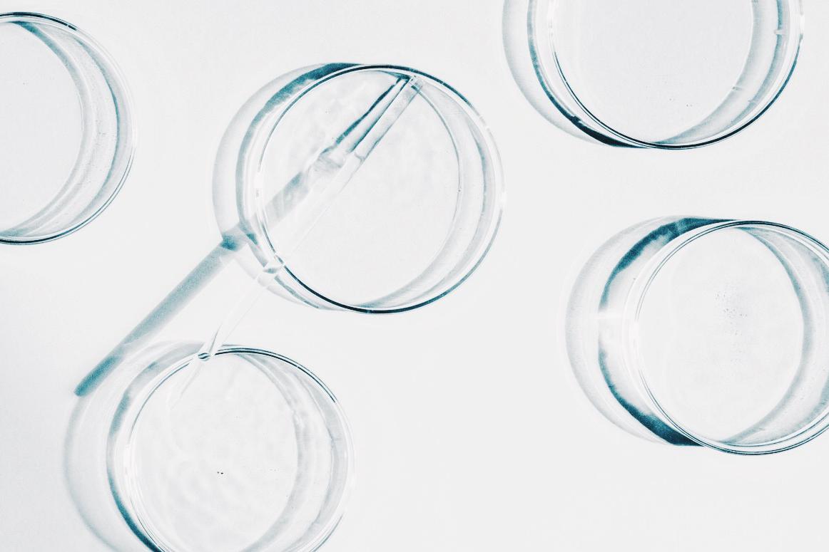 5 трендов качества жизни в 2026 году: перечисляют врачи