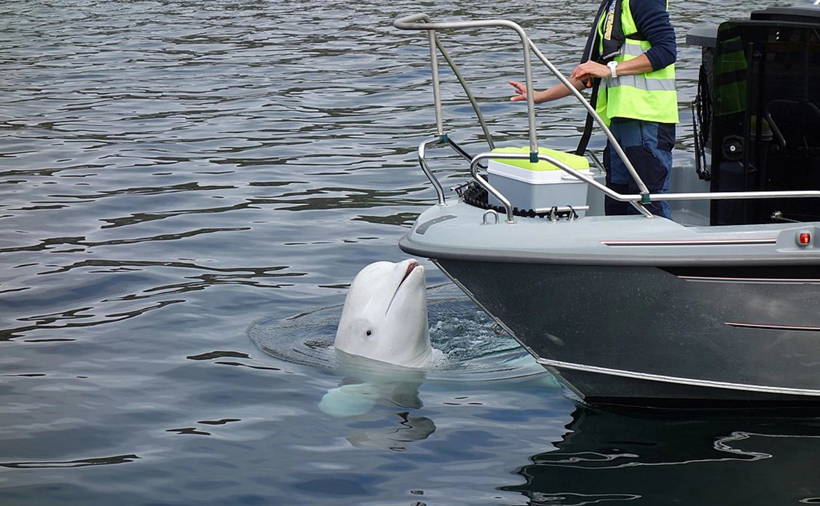 Ein Dahme / wikipedia.org