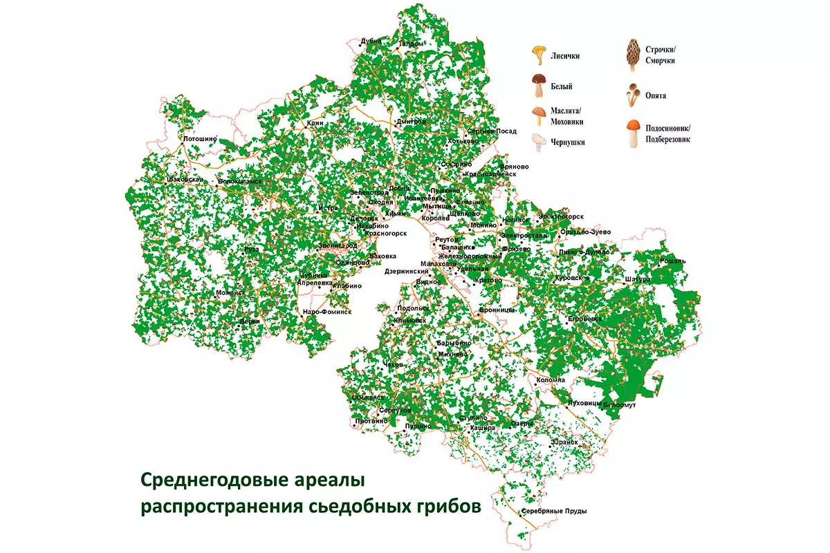 Карта грибных мест Подмосковья