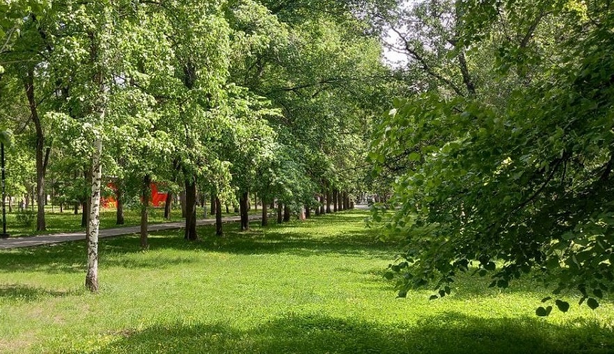 Фото: РБК Новосибирск