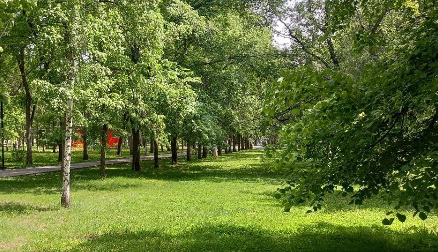 РБК Новосибирск