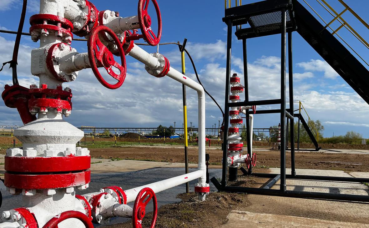 Макрон поспорил с Трампом о зависимости ЕС от российских нефти и газа