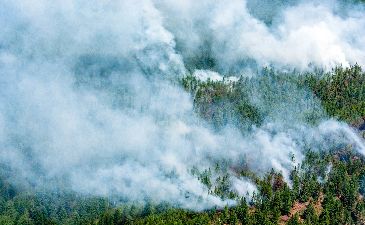 Сергей Фомин / Global Look Press