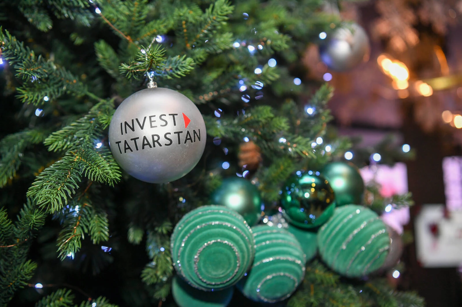 tida.tatarstan.ru