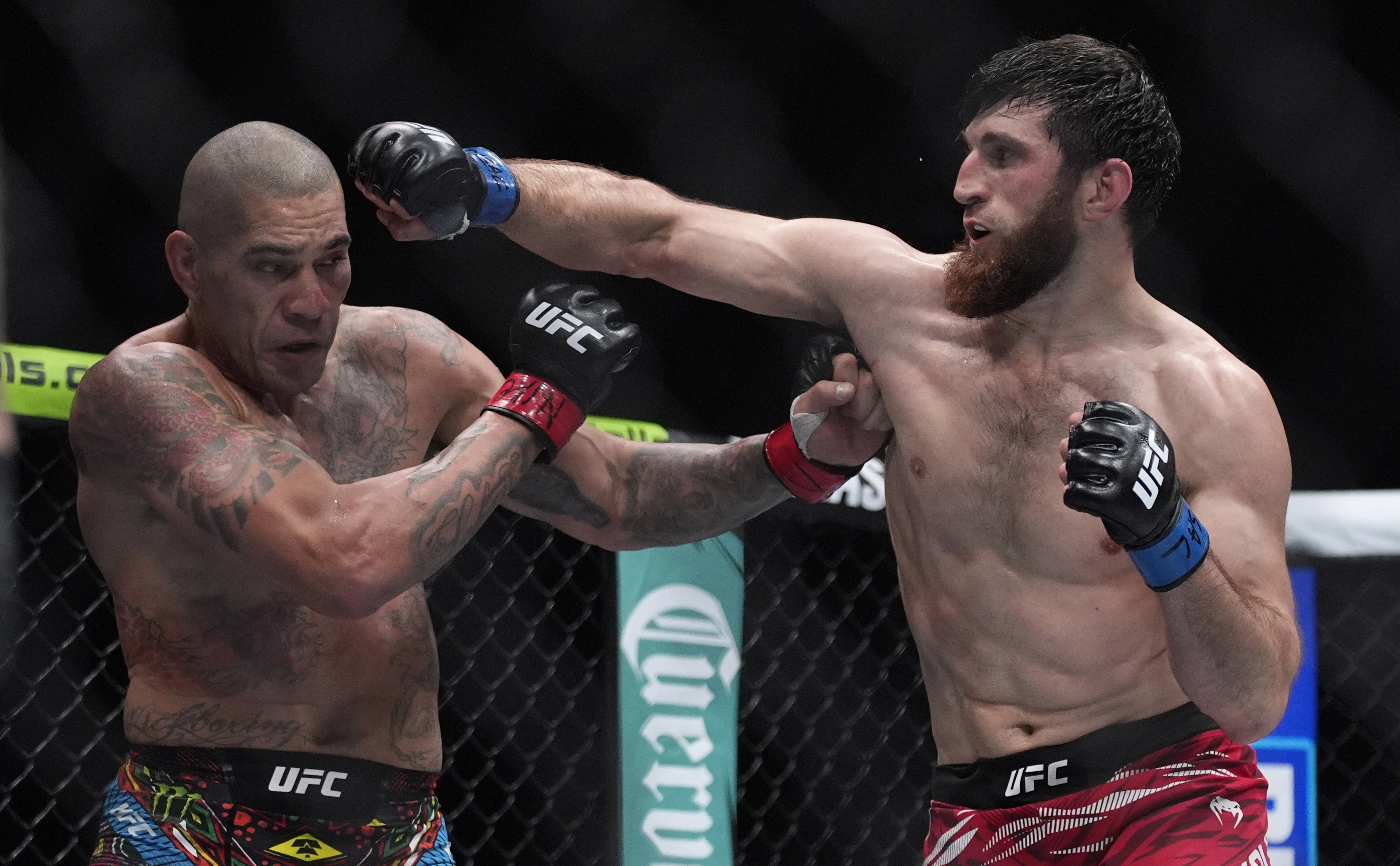 Бразильский боец Алекс Перейра и российский боец Магомед Анкалаев (слева направо) в поединке Абсолютного бойцовского чемпионата (UFC) в полутяжелом весе. (AP/TASS)
