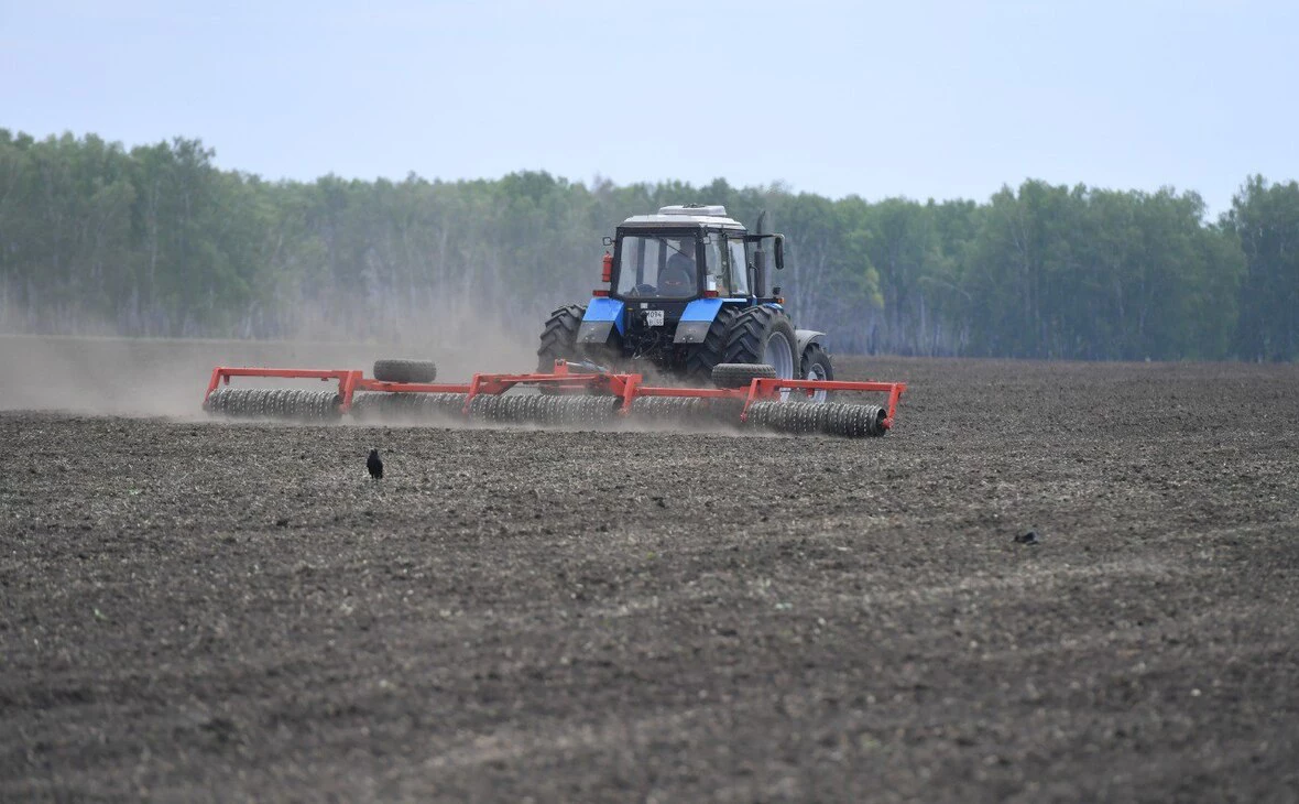 Вячеслав Крузман / пресс-служба правительства Омской области