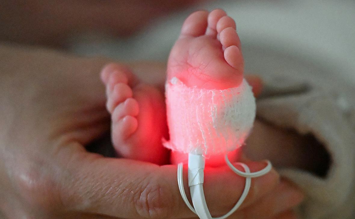 Фото: Jennifer Brückner / dpa / picture-alliance / ТАСС