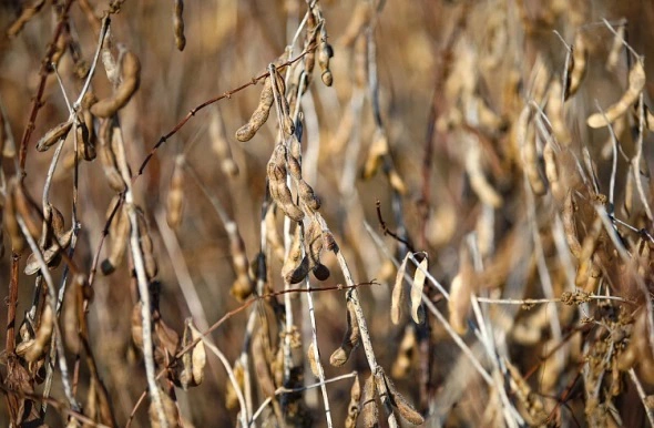 Правительство Приморского края