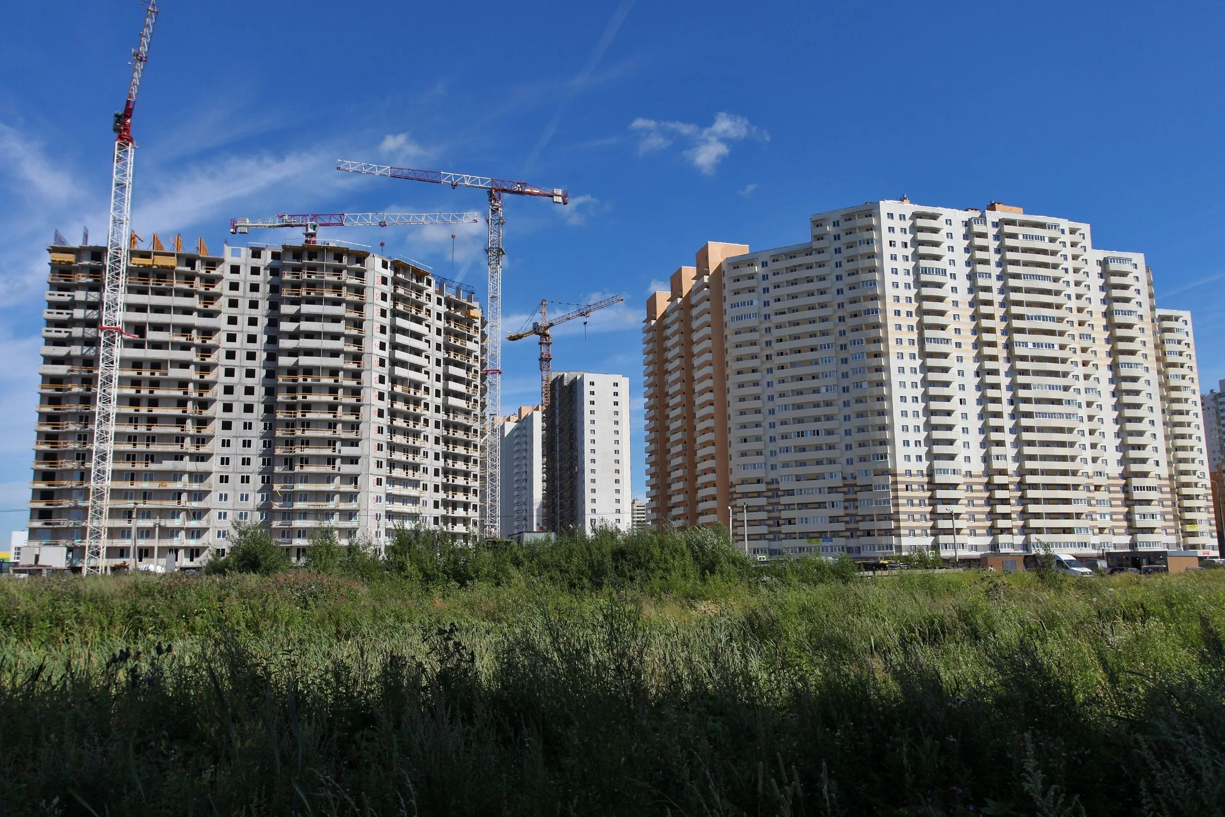 Тарасенков Александр/PhotoXPress.ru