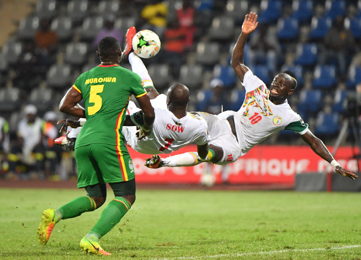Сенегал, 1-е место в группе D африканского турнира