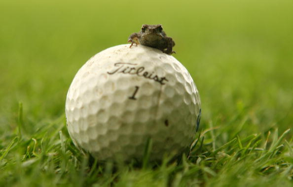 Мяч для игры в гольф