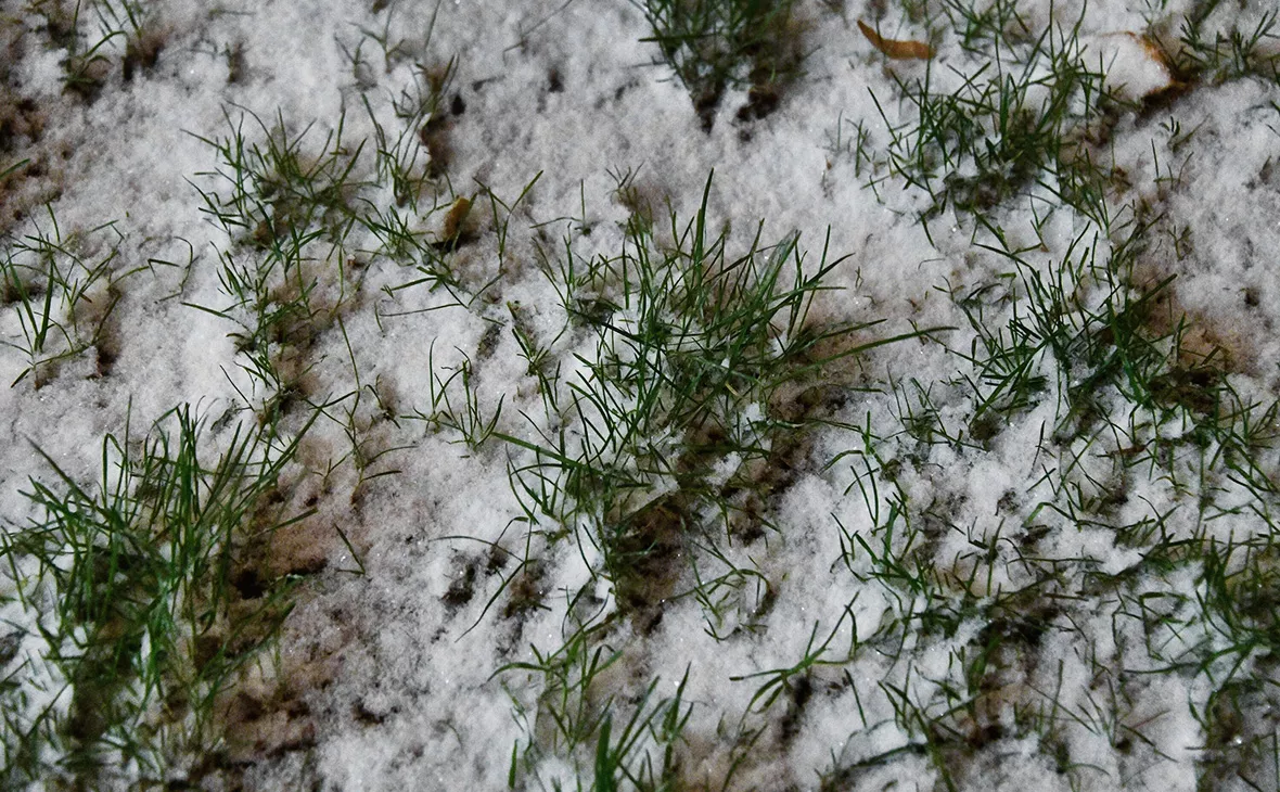 Игорь Иванко / АГН «Москва»