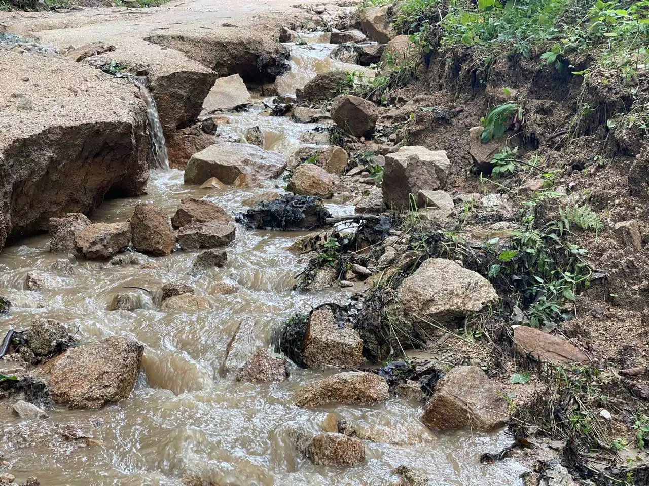 РБК Приморье 