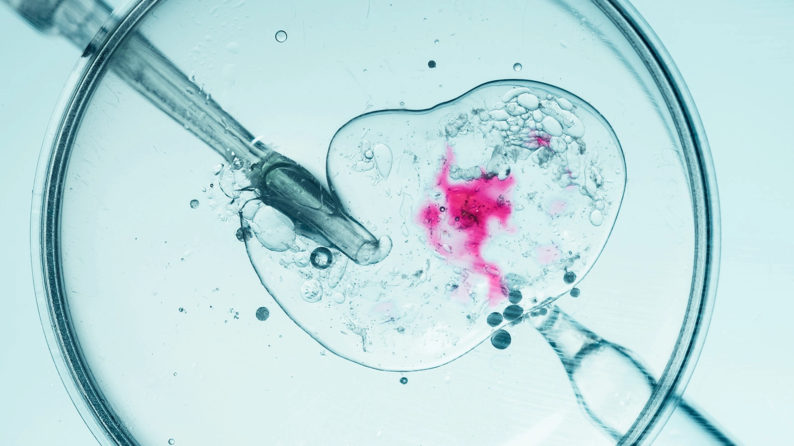 В США родился ребенок из замороженного 30 лет назад эмбриона