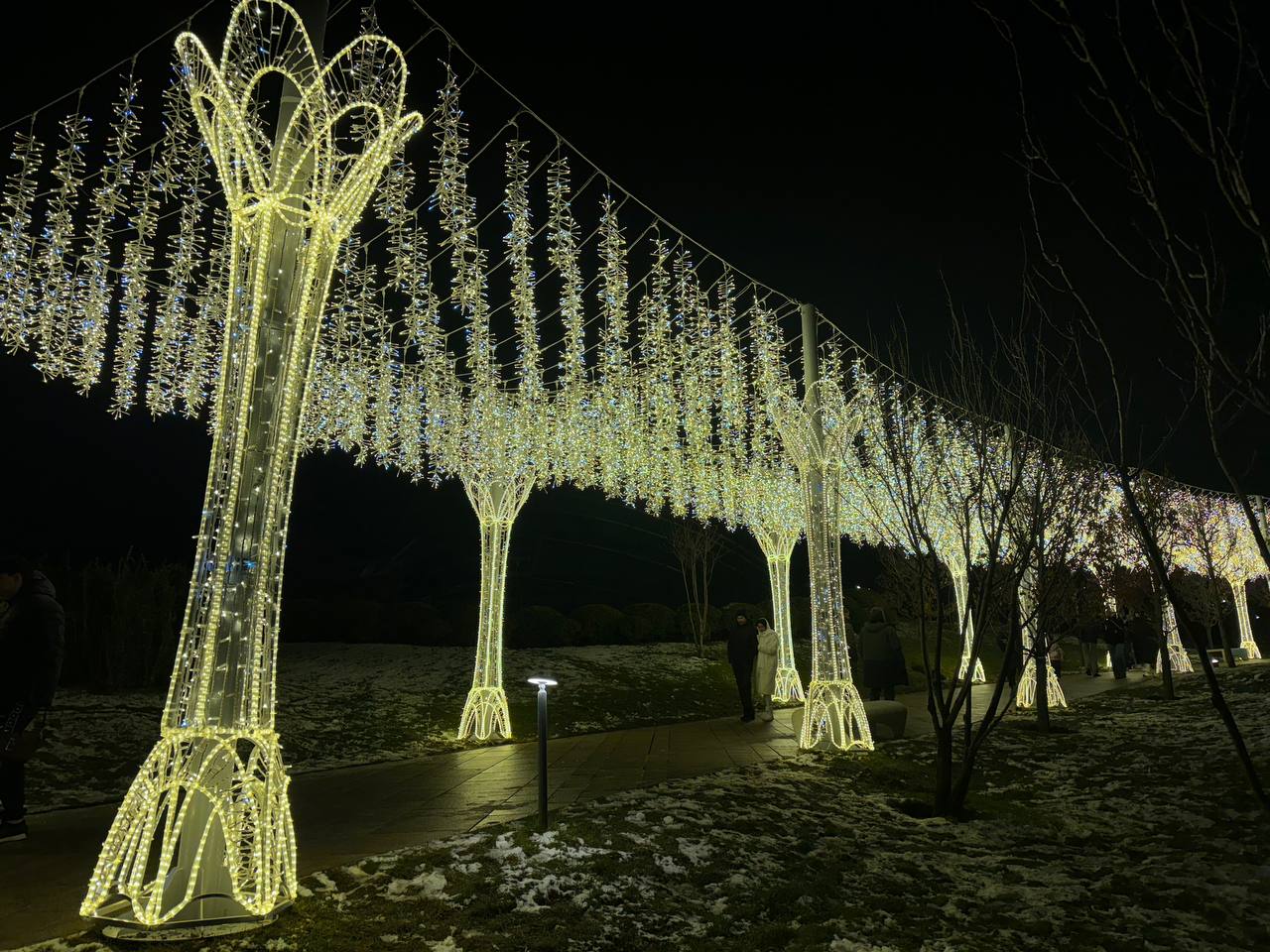 Фото: РБК Краснодар