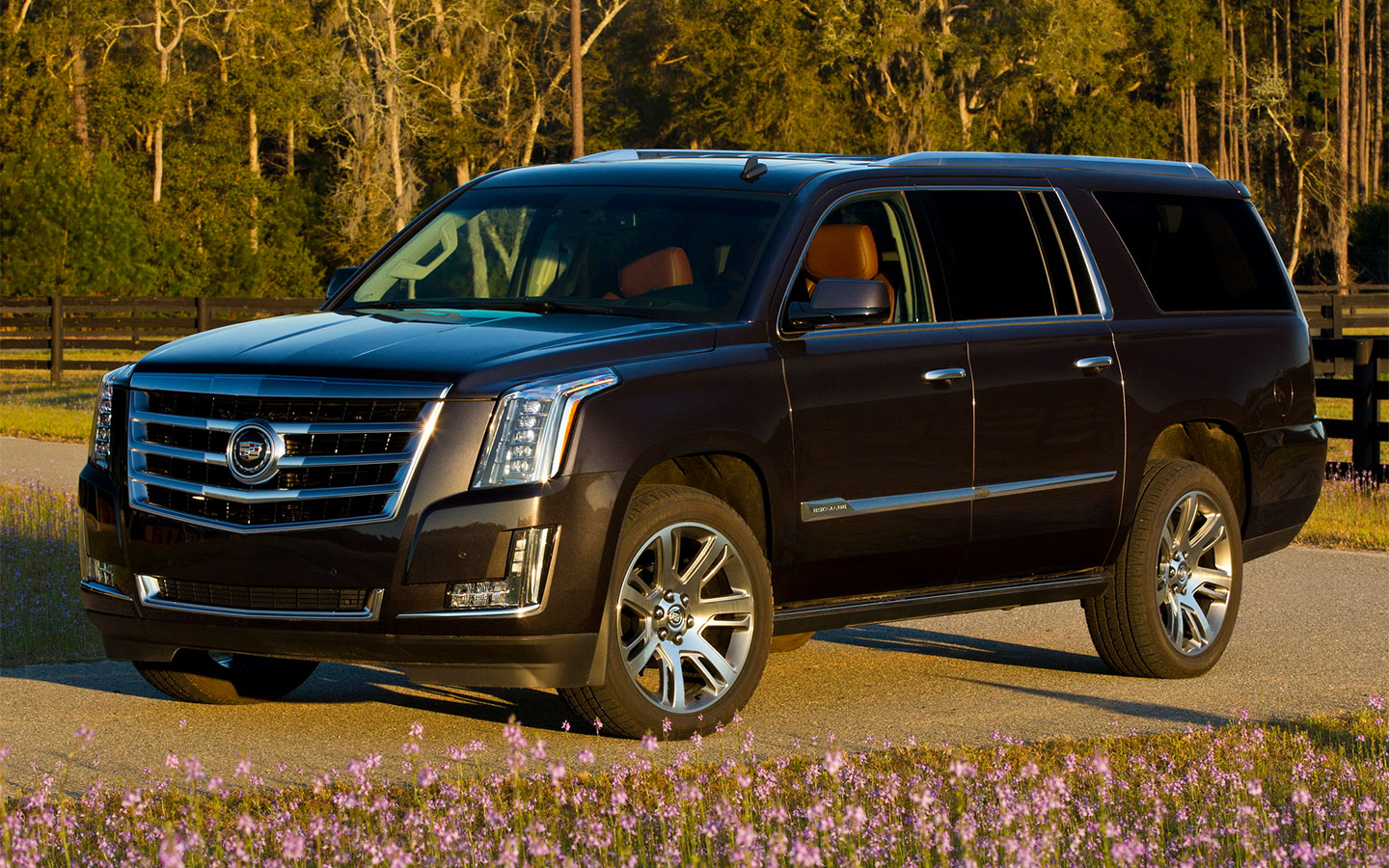 Cadillac Escalade ESV
