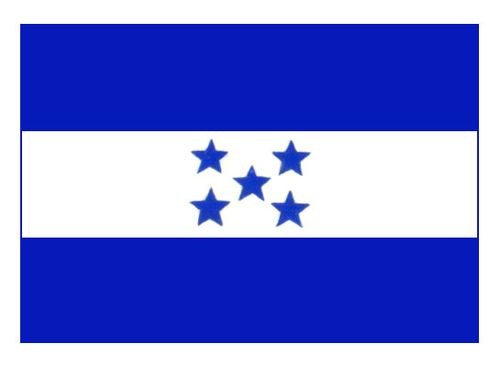 Конгресс Гондураса назначил временного главу государства