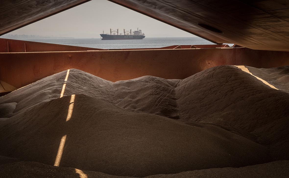 ООН одобрила отправку первого судна с зерном после приостановки сделки