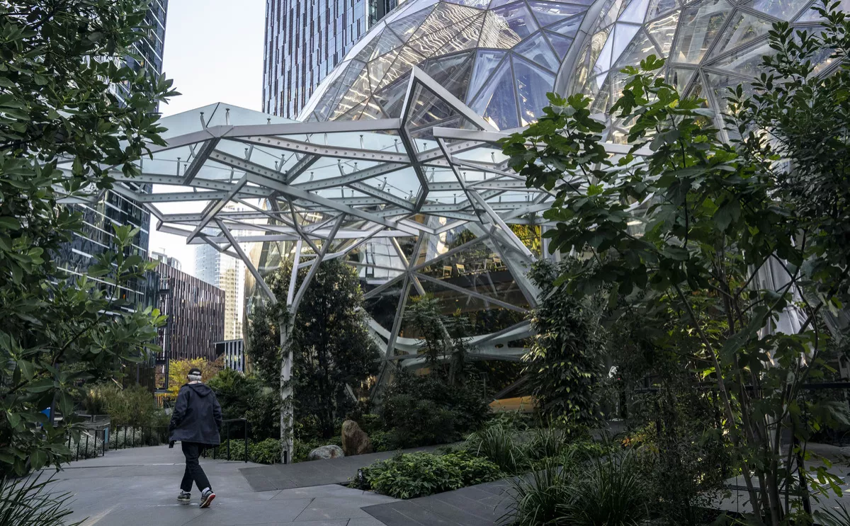 David Ryder / Getty Images